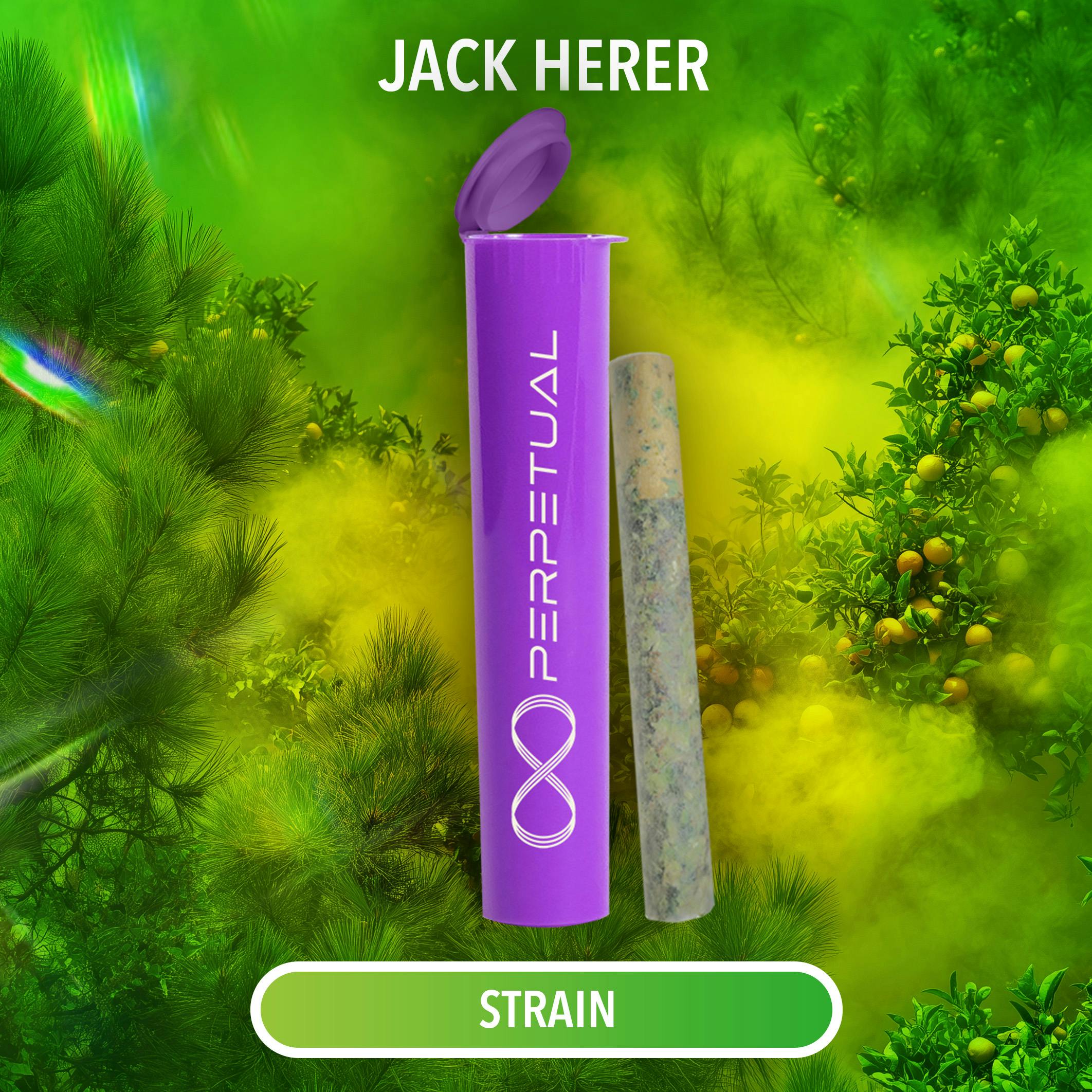 Jack Herer (SH) – 1g Infused PR – PERPETUAL Dispensary