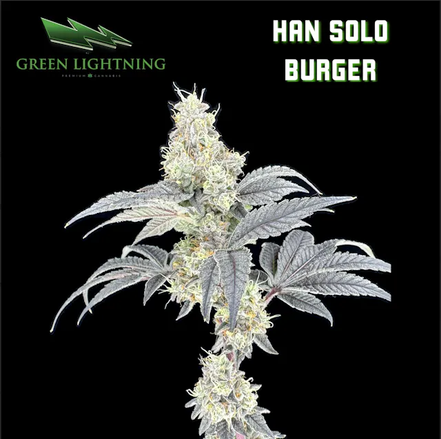 Green Lightning Bud Han Solo Burger 3.5g (indica, flower)