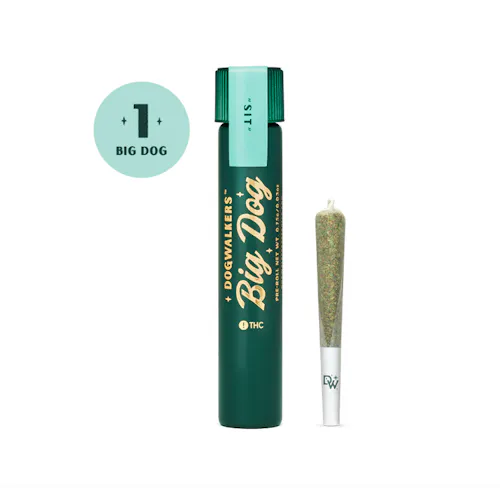 Brownie Scout Big Dog Pre-Roll | 0.75g-1