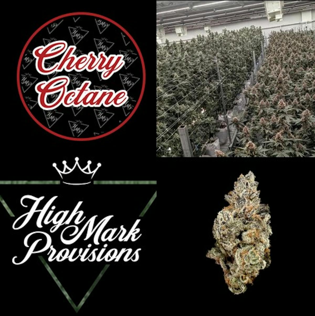 Image of Cherry Octane