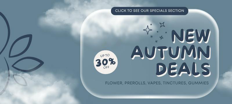 Kaya Bliss NEW autumn deals
