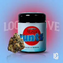 Local Grove - 14g Prepack Jar - Alpha Runtz