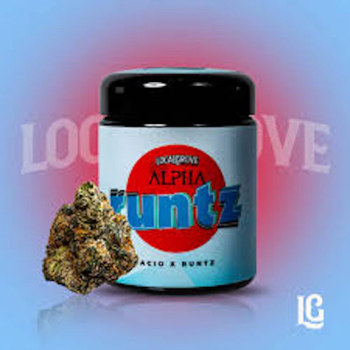 Local Grove - 14g Prepack Jar - Alpha Runtz
