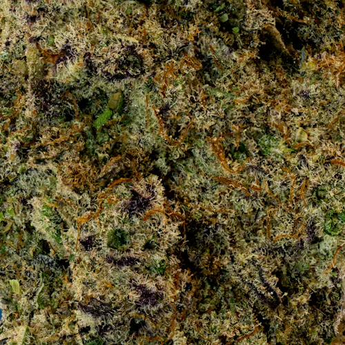 Deli Style | Wedding Cake – Indica-3