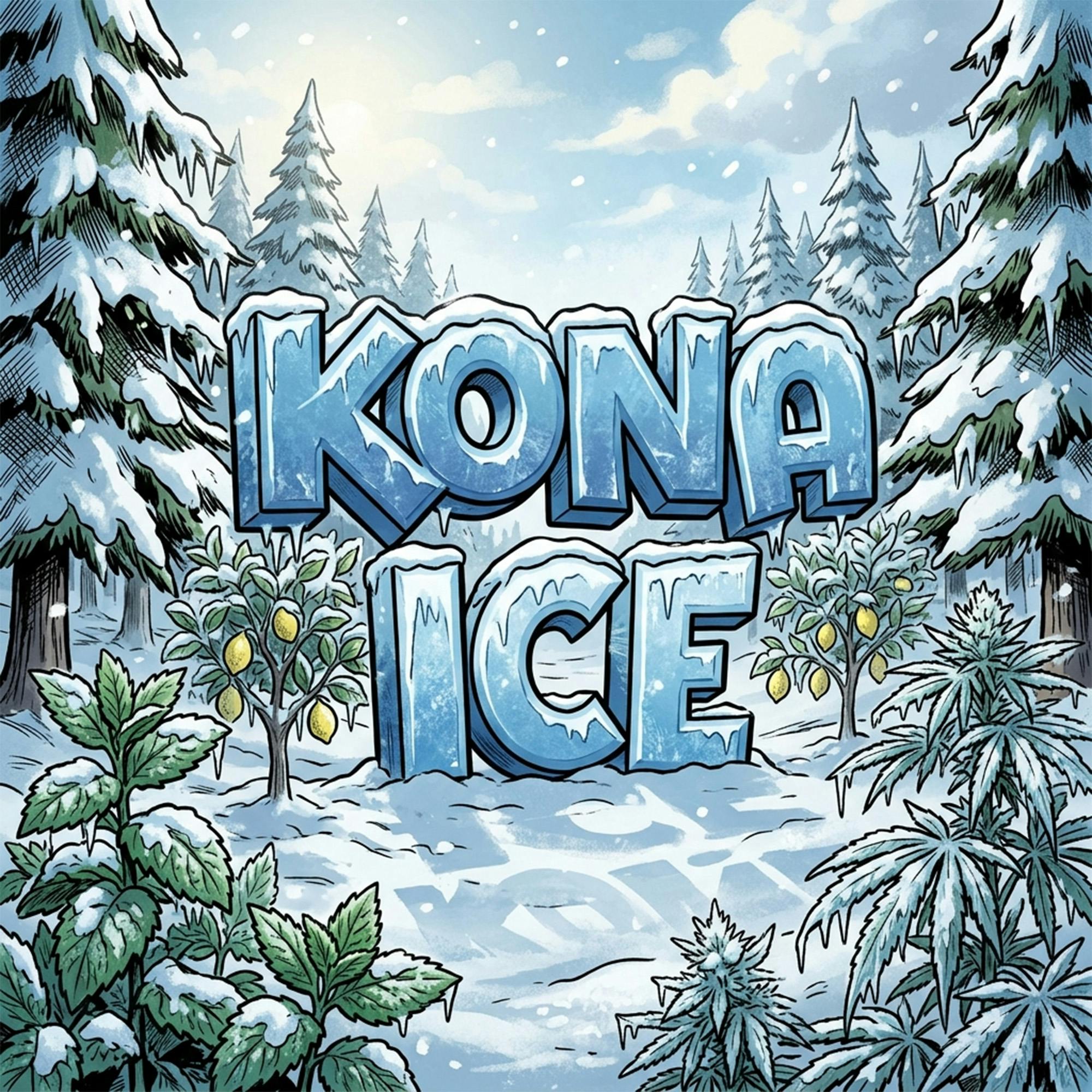 DELI - Kona Ice
