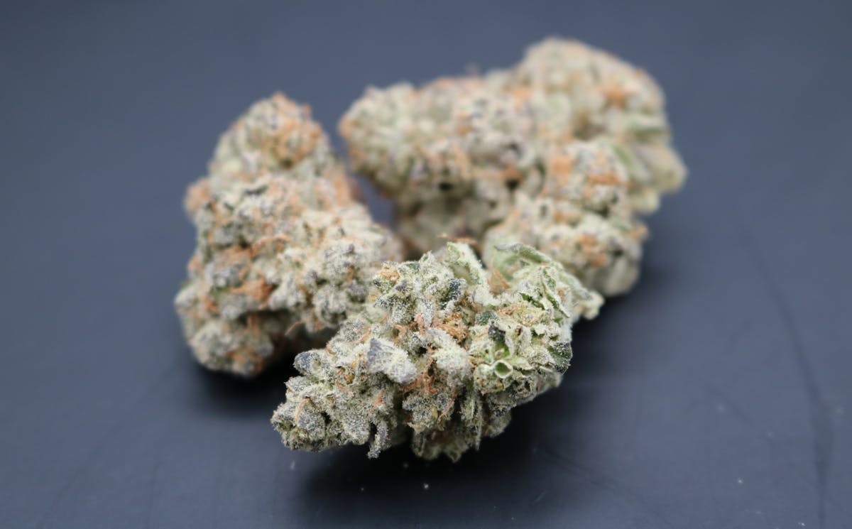 Photo of $13 Oddworld