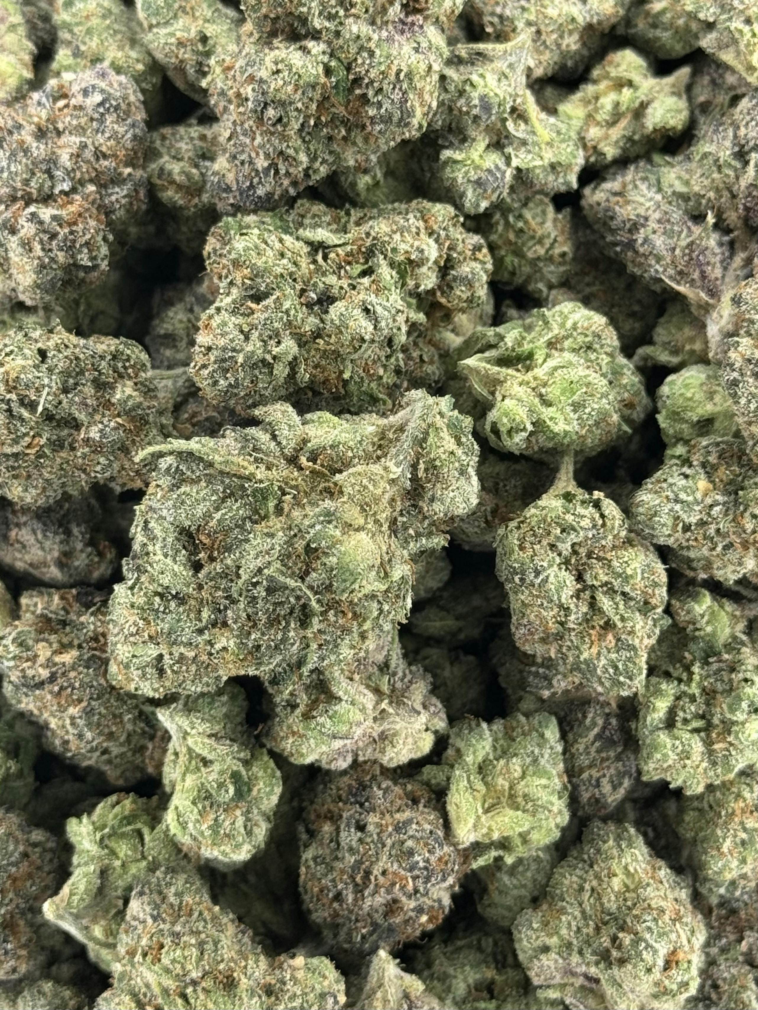 Galactic War | Deli Flower (Gold)