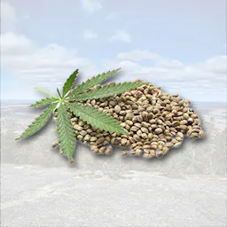 Seeds category image