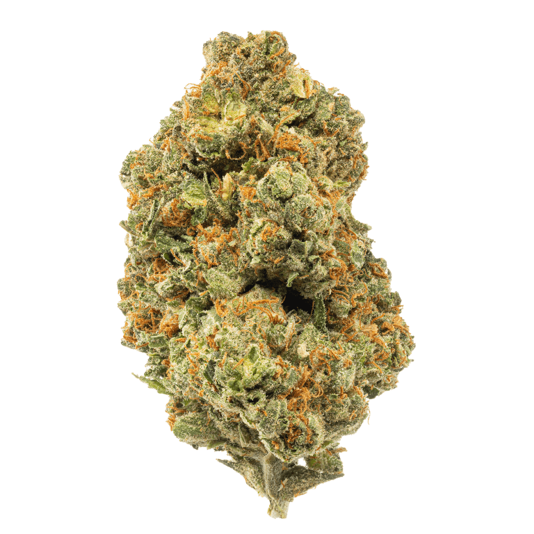 EXOTIC GENETIX | GREASY RUNTZ | SMALLS | BULK | INDICA/HYBRID