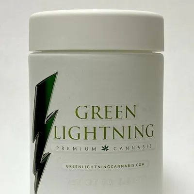 男らしい植物　グリーンインテリアライトニング グリーンライフ lightning 別冊Lightning 207 グリーンライフ (エイムック 4374 別冊Lightning