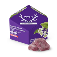 WYLD - 200mg Gummies - Marionberry - product image at King of Budz