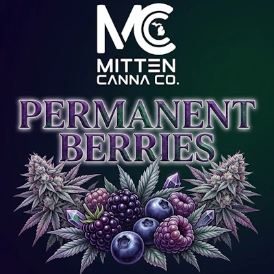 DELI - Mitten Canna - Permanent Berries