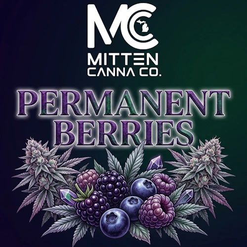 DELI - Mitten Canna - Permanent Berries
