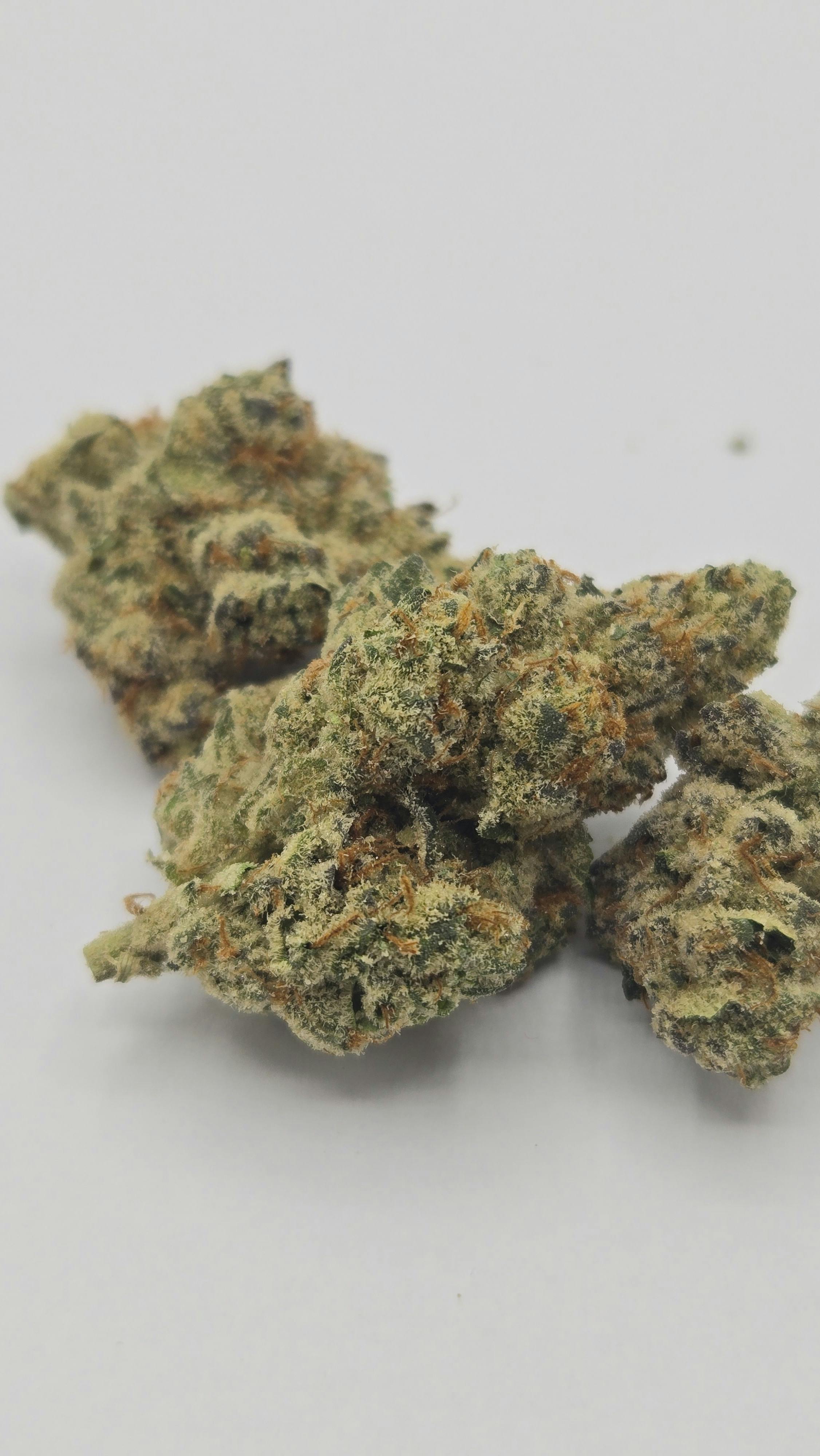 Product: Brain Salad | Farm Science