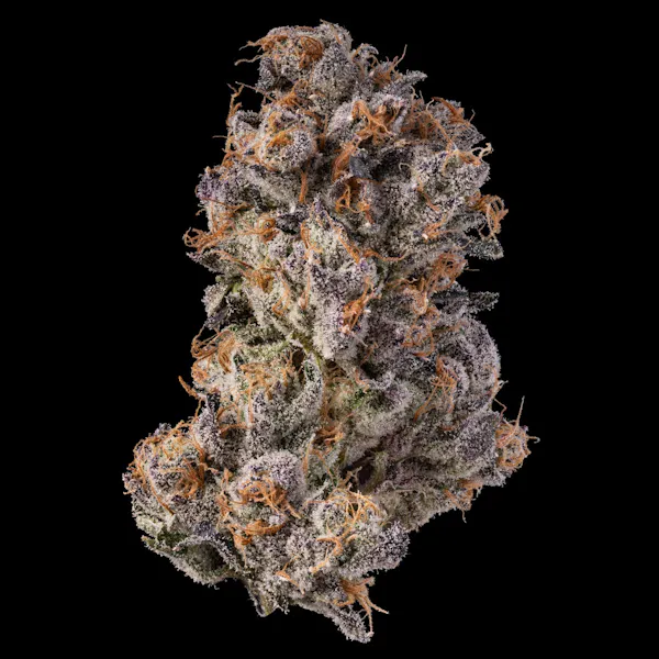Road Kill Skunk Dawg #2 1/8oz Flower | Perpetual |