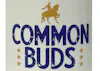 Common Buds