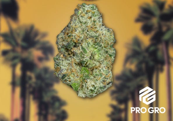 Product: Lit OG | Pro Gro