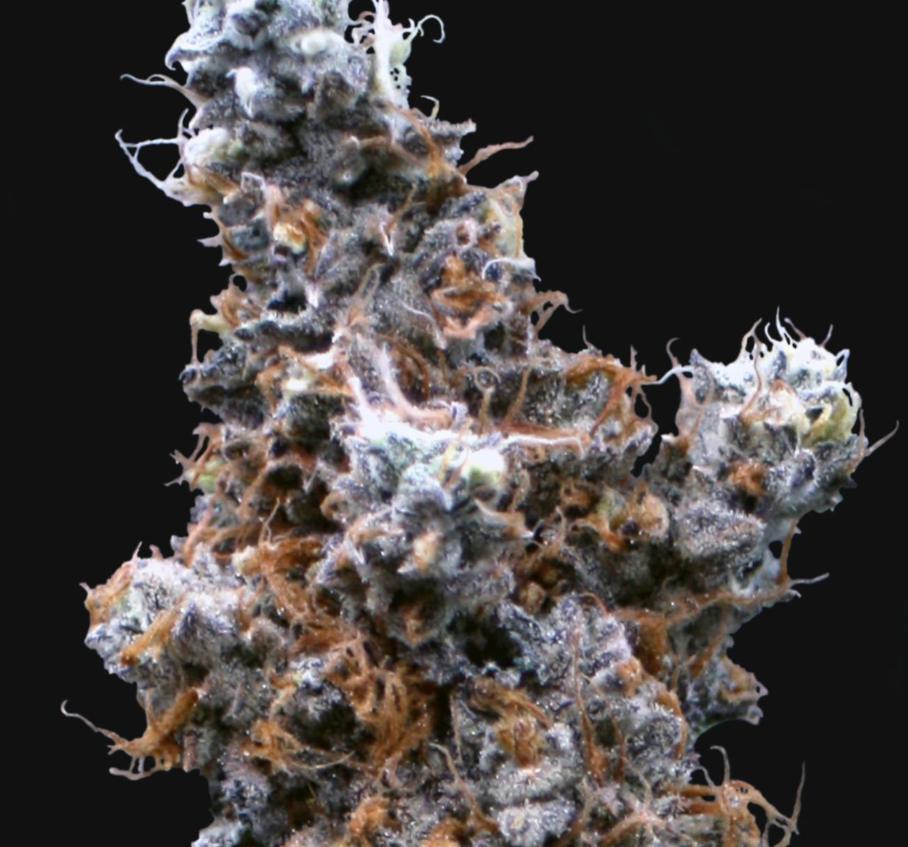 Product: Pure Smorez [3.5g]