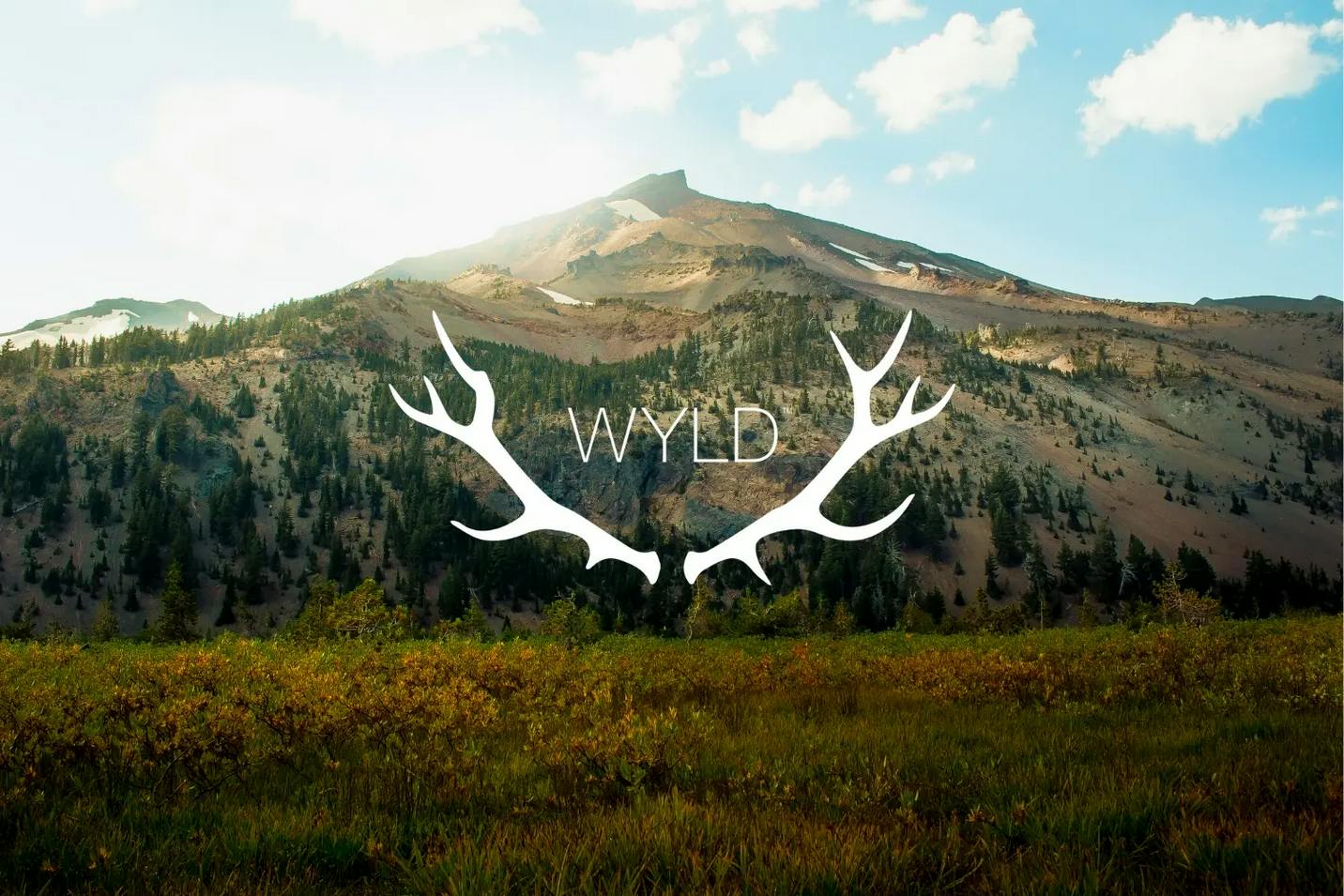 Wyld gummies cannabis infused real fruit