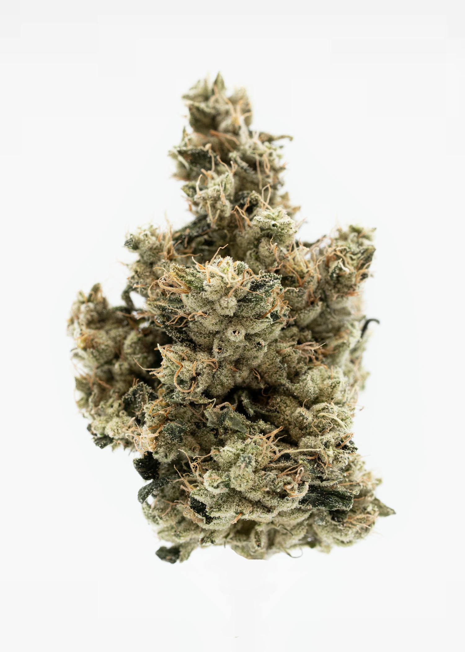 Harbor House Collective Chem 91 | 28g - Harbor House Cannabis
