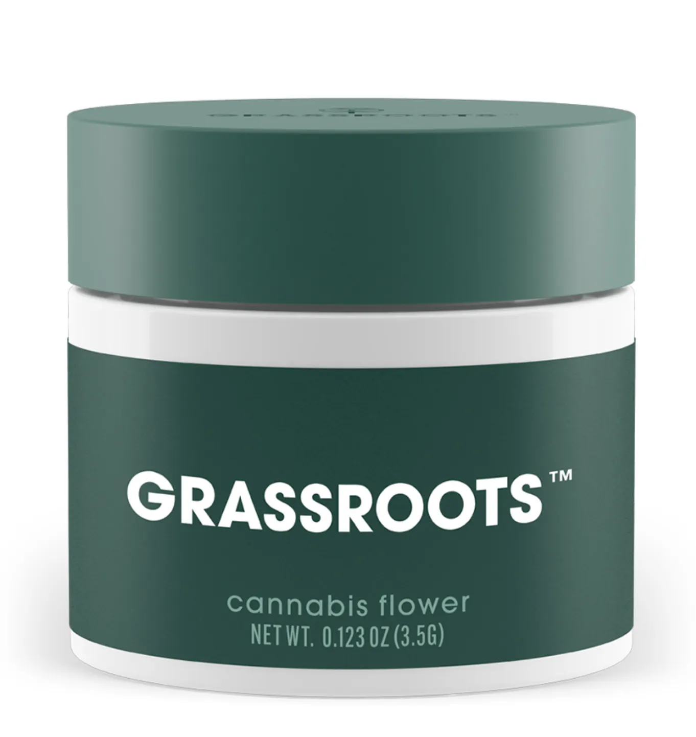 【値引きしました！】Grass Roots potbelly Grassroots | Citradelic Haze (S) | Pettals - Attleboro