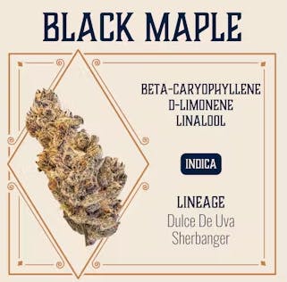 Photo of Elevate | Black Maple | 3.5g
