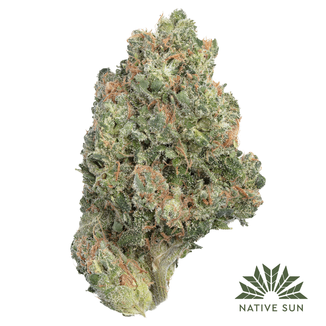 Native Sun Athens Haze | Flower | 3.5g - Native Sun Cannabis