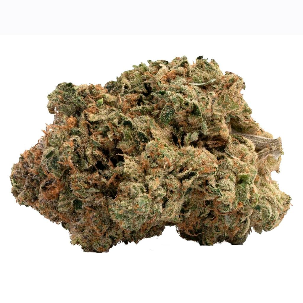 CanWe - TF Pink Kush - 1g | The Hunny Pot Cannabis Co. (600 Fleet 