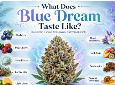 Product Blue Dream Buds