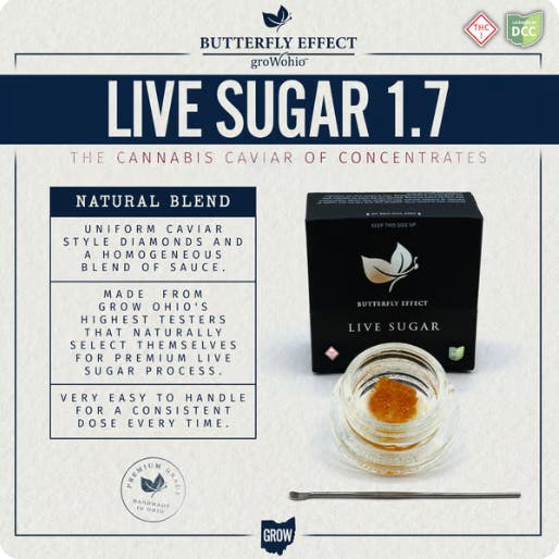 DTM・DAW Sugar Butterfly Effect - 91R Live Sugar - 1.7g - 2 Day | UpLift - Mt. Orab