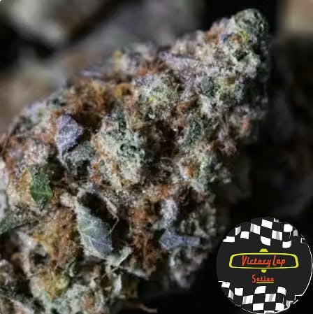 Product: Victory Lap | Gold Leaf | Flower - 3.5g