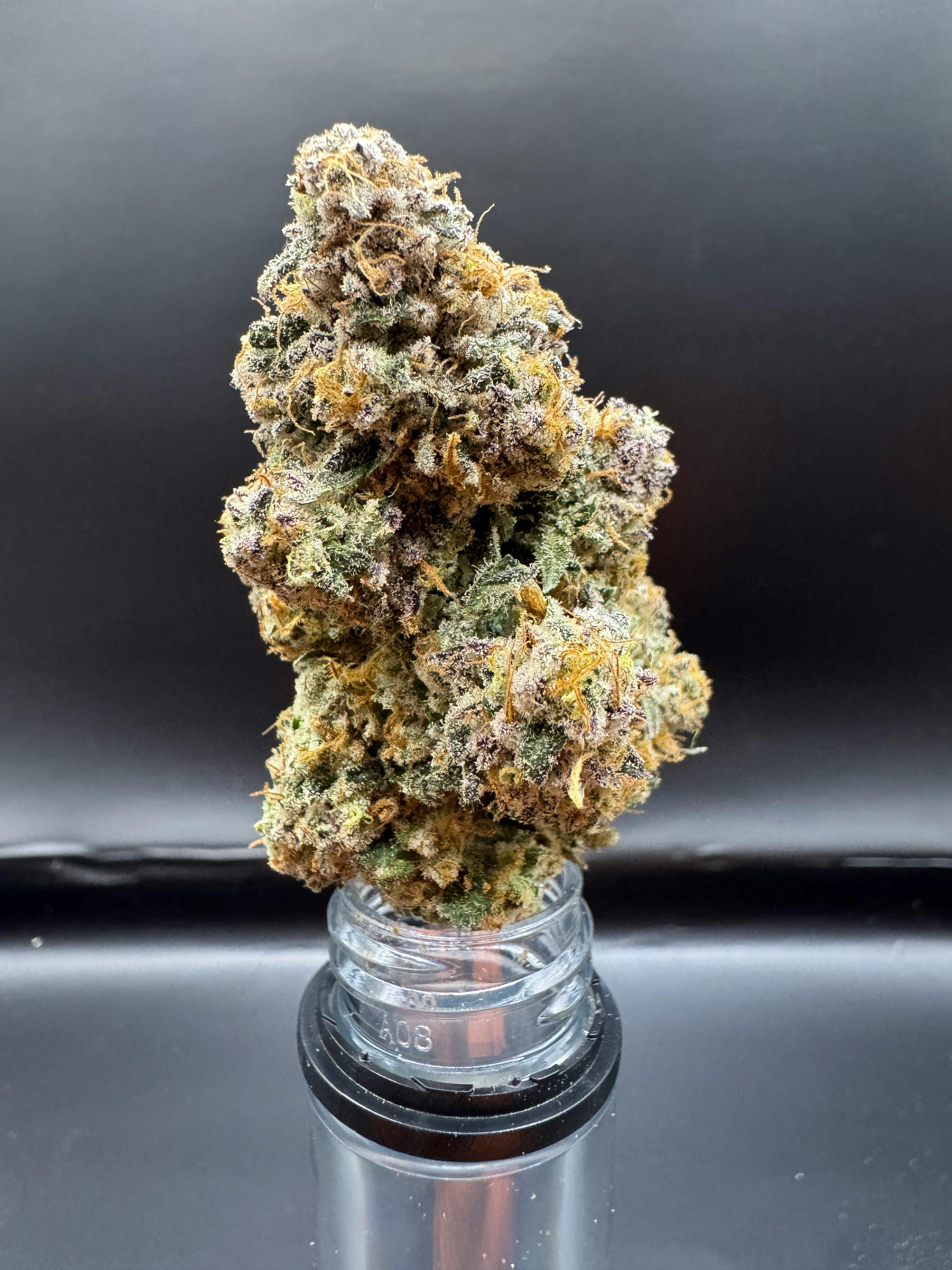 The Kolektor | Big Apple | 3.5g (Premium Cannabis)