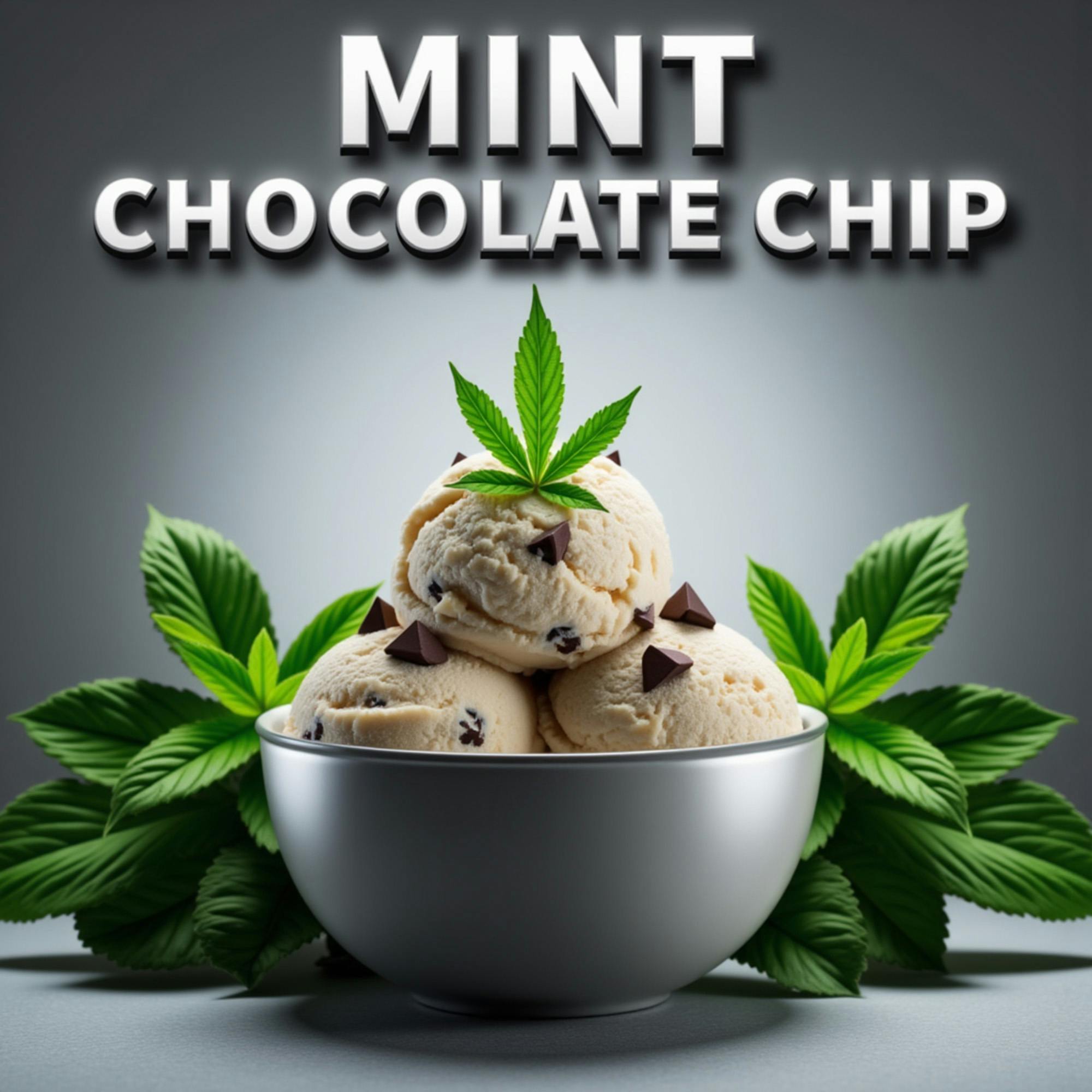 DELI - Mint Chocolate Chip #6