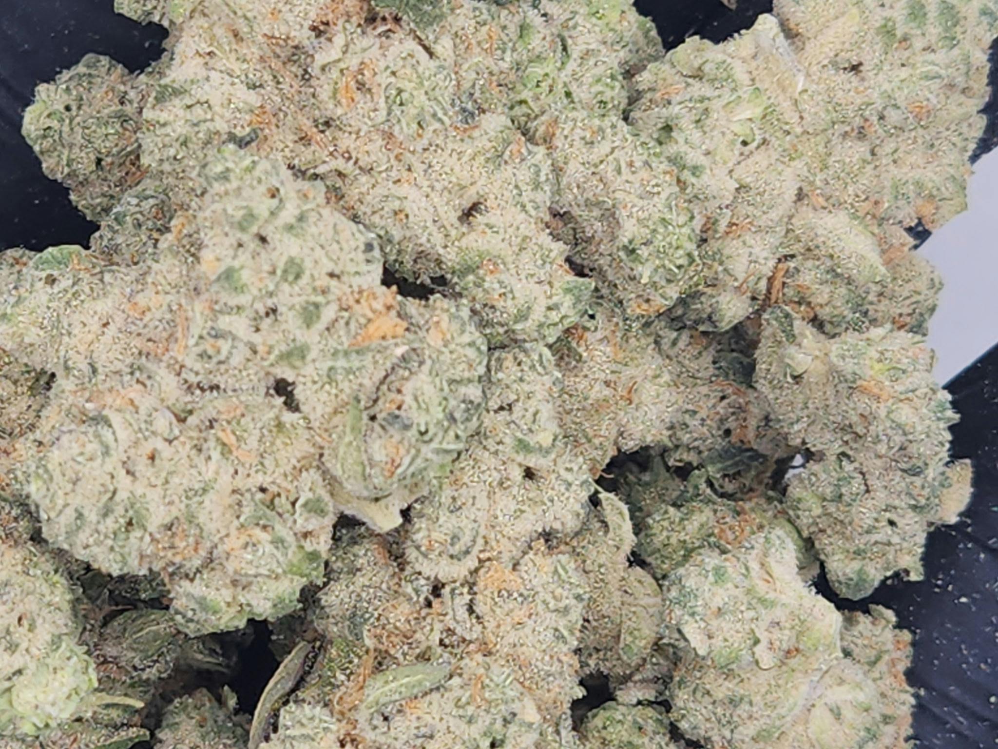 Product: Fresh Canna | Bulk Bud - HP Runtz