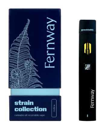 Fernway - Space Queen Traveler Disposable Vape - 2g