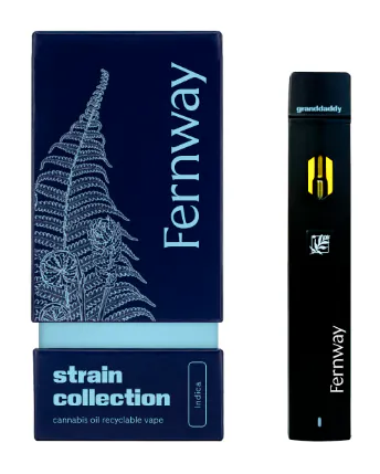 Fernway - Space Queen Traveler Disposable Vape - 2g | Bayside