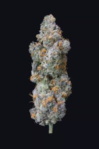 Product: Victory Lap | Lion's Breath | Flower (Smalls) - 14g