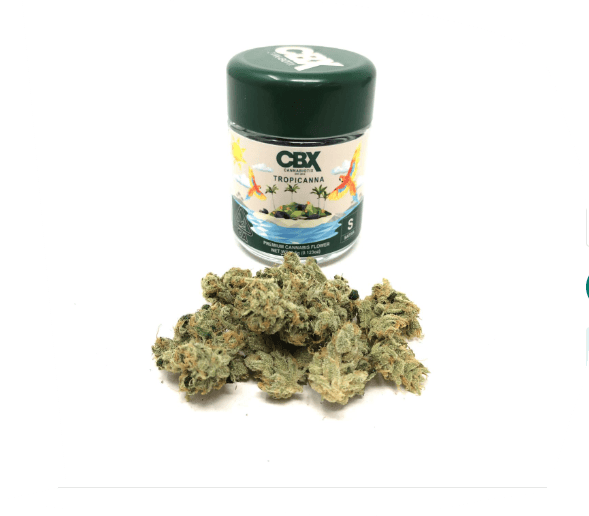 Image of product