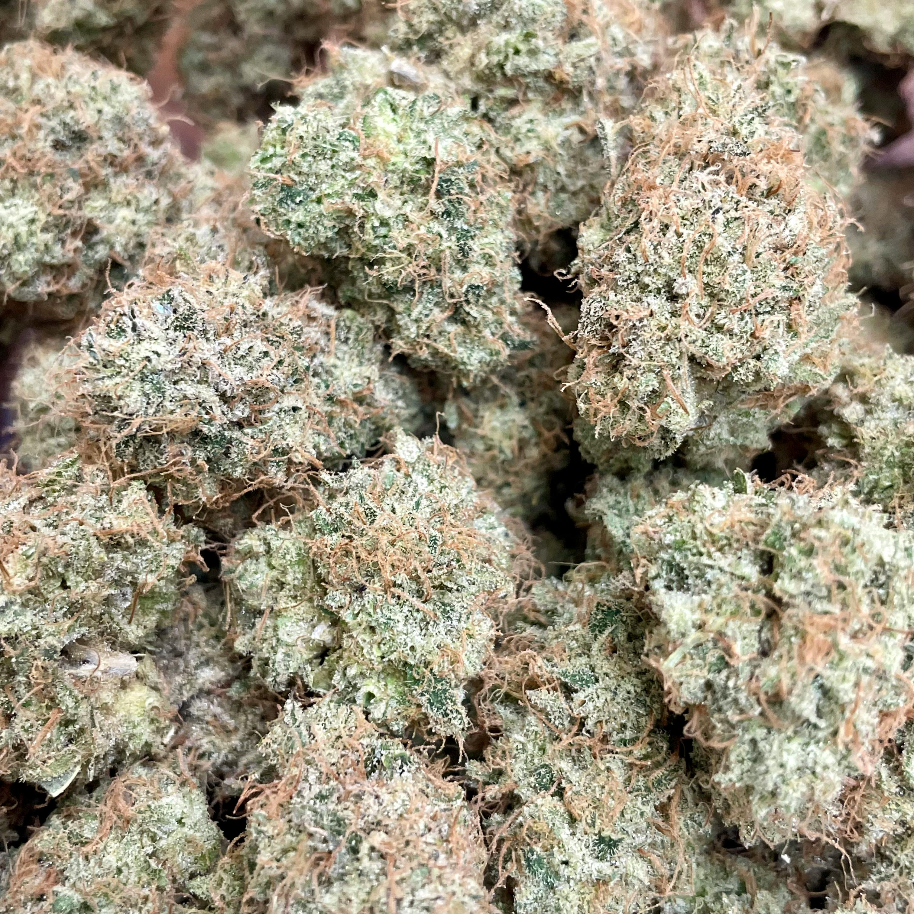Firebird (Deep Creek) 1g Flower | Deep Creek Gardens |