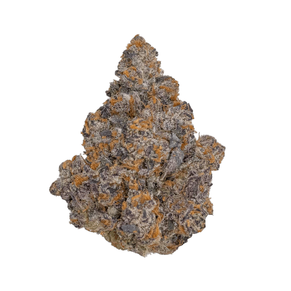 Harborside (San Leandro)