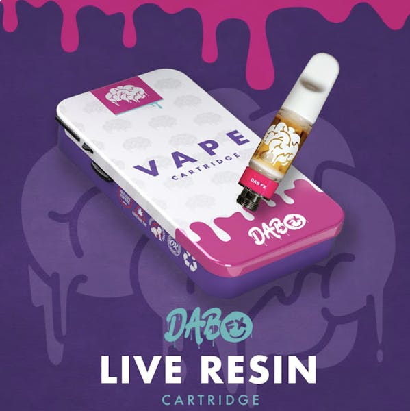 Hazy Delight (S) | .5g | Live Resin | Vape | Dab Fx