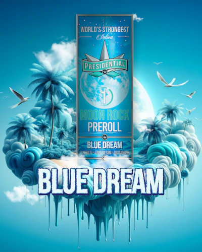 Presidential - 1g Moon Rock Infused Preroll - Blue Dream