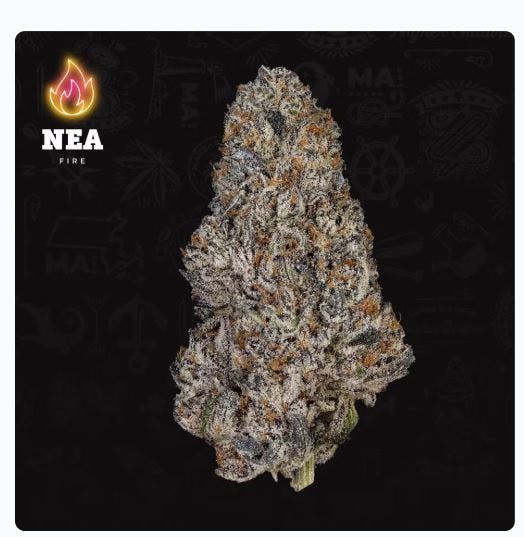 Product Trufflegasm Buds