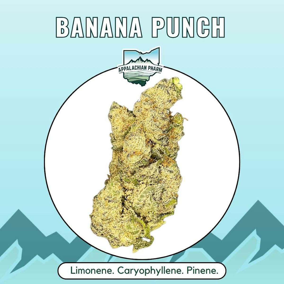 Photo of Banana Punch