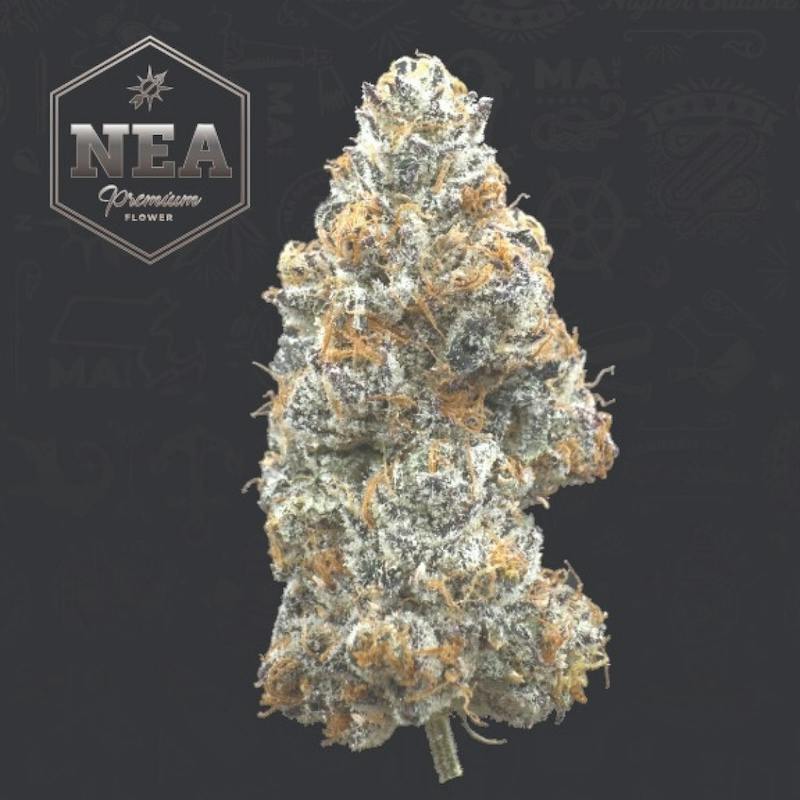 Product NEA Premium - Gelato Ice Cream Flower (3.5g)