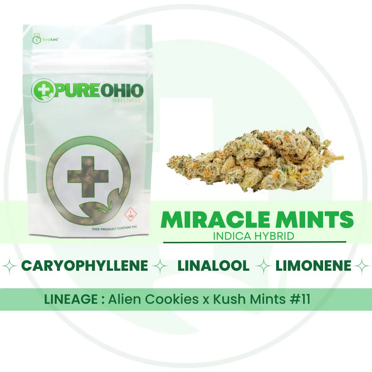 Miracle Mints 14.15g Flower | Pure Ohio Wellness