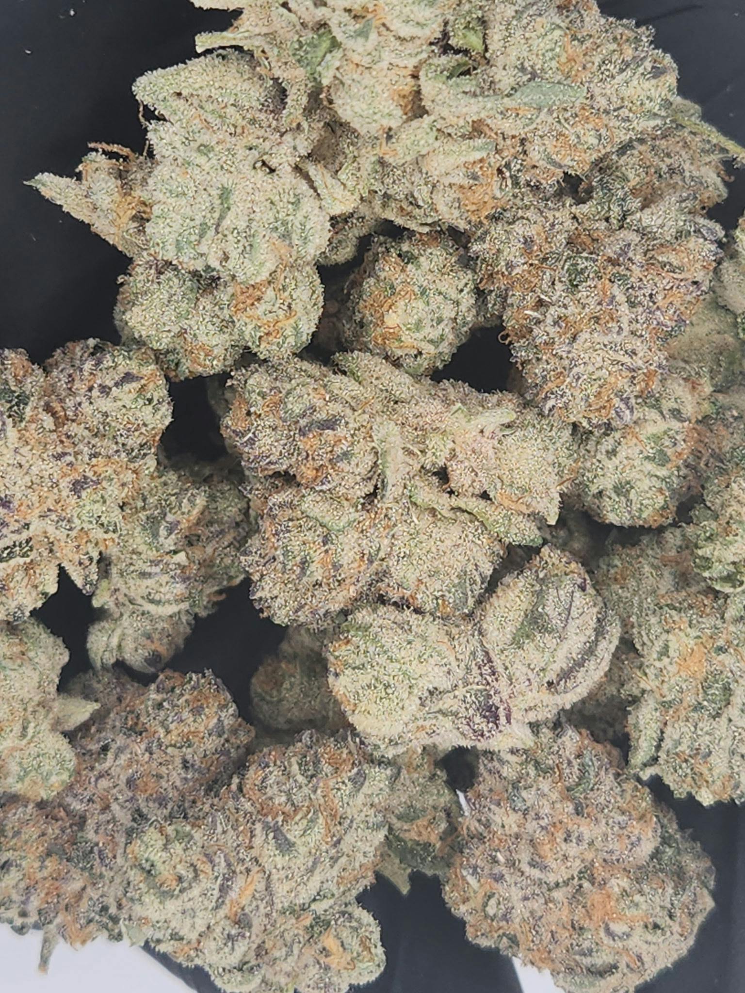 Product: Spaceman | Bulk Bud - Permanent Chimera #35