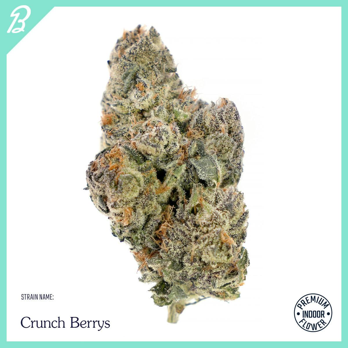 The Flowery NY | Crunch Berrys