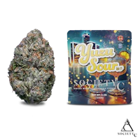 Society C - 3.5g Prepack - Yuzu Sour - product image at King of Budz