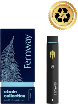 b disposable vape B Noble -Elite - Sour Diesel - Disposable Vape - 2g - 2g by B Noble